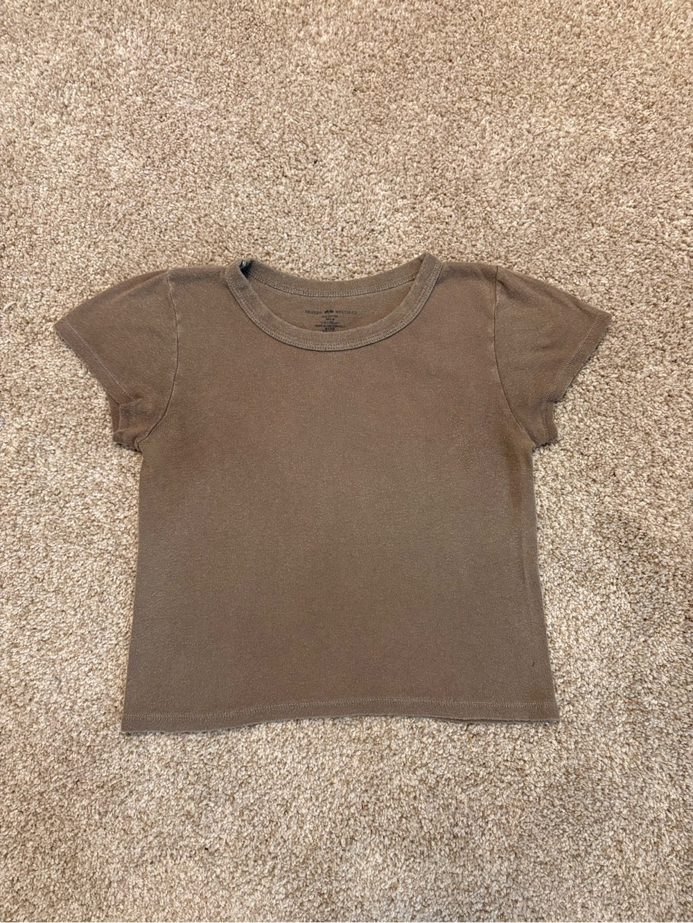 Brandy Melville Crop Top T-Shirt